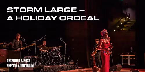 The Storm Large Holiday Ordeal