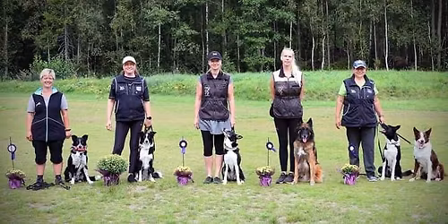 S\u00f5nakuulelikkuse eksam