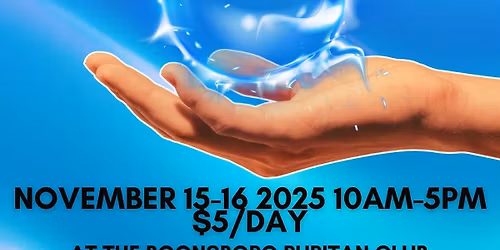 Theresa Sharp's Festival of Light