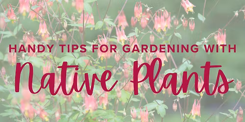Handy Tips for Gardening with Native Plants