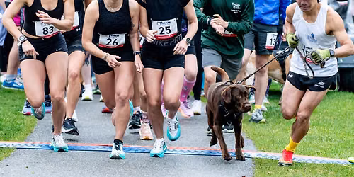 Muddy Paws 5k and Block Party