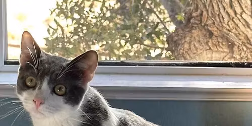 Fundraiser Yard Sale