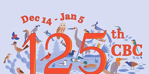 BARRIE CBC SATURDAY DECEMBER 20, 2025