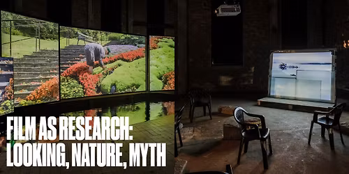 Film as Research: Looking, Nature, Myth