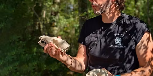 GRATUIT - Balade faune \u00e0 Morlhon-le-Haut avec Anthony Vieillard