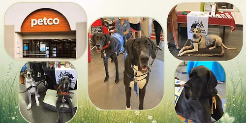 NJ Petco Meet & Greet