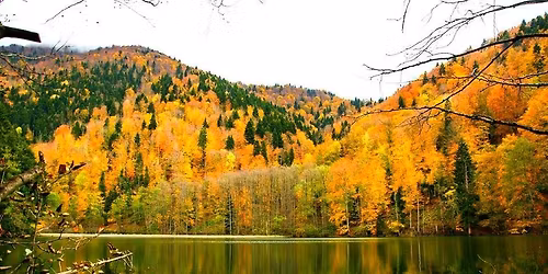 \u10eb\u10d0\u10db\u10d0\u10e1 \u10ee\u10d4\u10dd\u10d1\u10d0