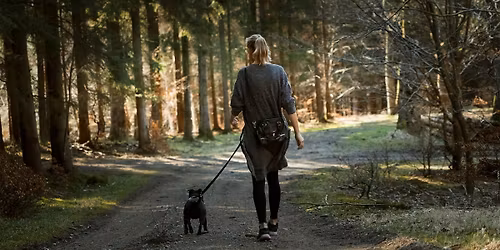 Beginner - Recall & Loose Lead Walking Workshop