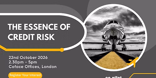 Co-pilot Essence of Credit Risk - London Meeting