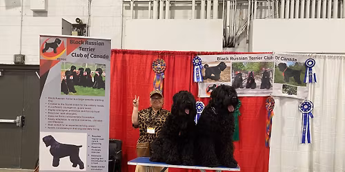 Meet Black Russian Terrier at Pet Expo Breeders Village 