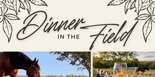 Spring Dinner in the Field (with horses)