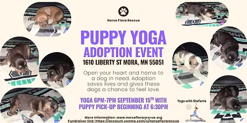 Puppy Yoga with Stefanie