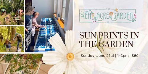 Sun Prints in the Garden--Father's Day