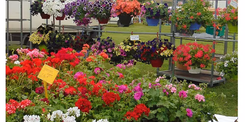 12 emes FLORALIES DU  LAC  GRAND VIDE GRENIER 