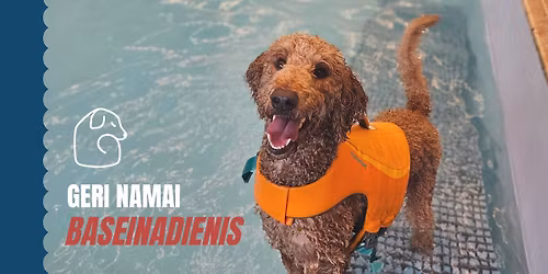 Geri namai BASEINADIENIS