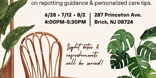Houseplant 101 + Repotting Clinic
