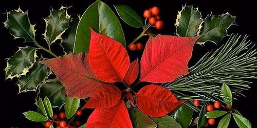 Hanging of the Greens