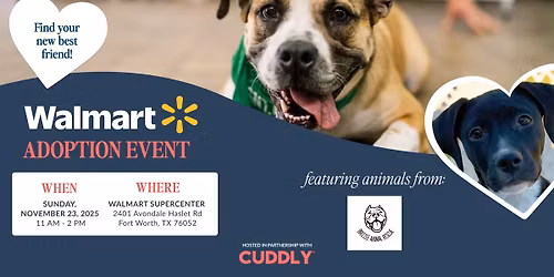 Walmart Adoption Event | Fort Worth, TX