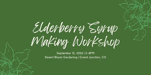 Elderberry Syrup Making Workshop