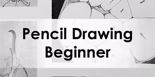 Pencil Drawing | Beginner