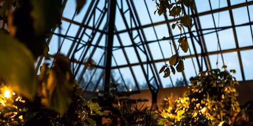 Pyramid of Sound: Sound Bath Muttart Conservatory