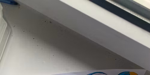 LOWER CORTISOL by Jerge