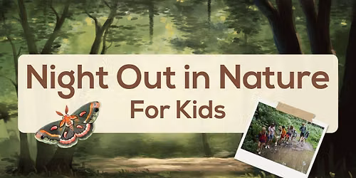 Night Out in Nature For Kids