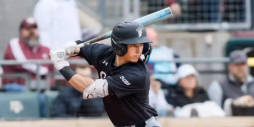 Lamar Cardinals at Texas A&M Aggies Baseball