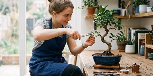 Bonsai Workshop (Beginner)