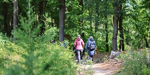 Social & Stroll Wageningen met de Walk Club