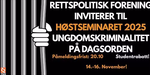 H\u00d8STSEMINARET 2025: Forebygging eller straff \u2013 ungdomskriminalitet p\u00e5 dagsorden