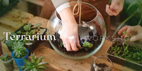Terrariums