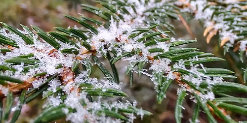 Juletreorientering 2025 del 3