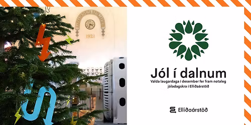 J\u00f3l \u00ed dalnum - 20. desember