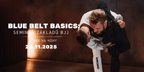 Blue belt basics : \u00datoky na nohy