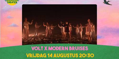 VOLT x Modern Bruises collaboration