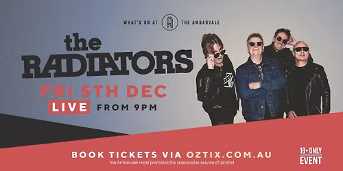 The Radiators live at The Ambarvale Hotel