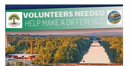 Bellamy Harbor - Canal Clean Sweep