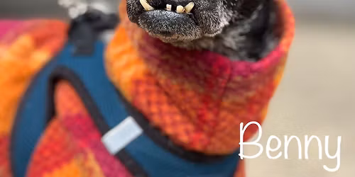 ADOPTION DAY on MILNER