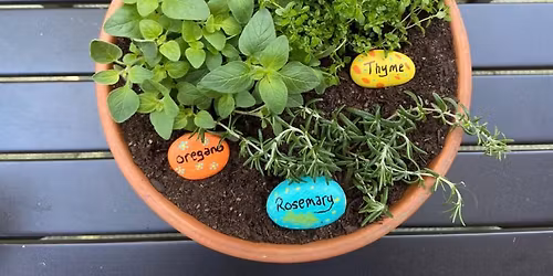 Create an Herbal Planter