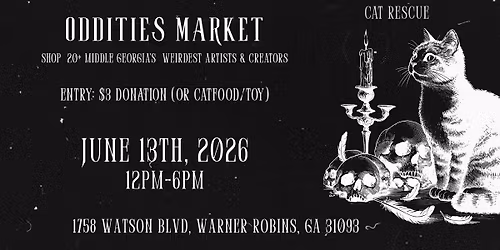 Middle Georgia Oddities: Chaos and Catnip Market \ud83d\udc08\u200d\u2b1b\ufe0f