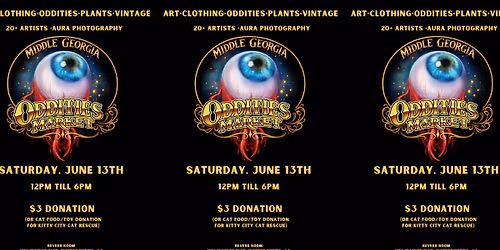 Middle Georgia Oddities: Chaos and Catnip Market \ud83d\udc08\u200d\u2b1b\ufe0f