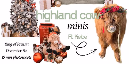 Mini Highland Cow Holiday Minis