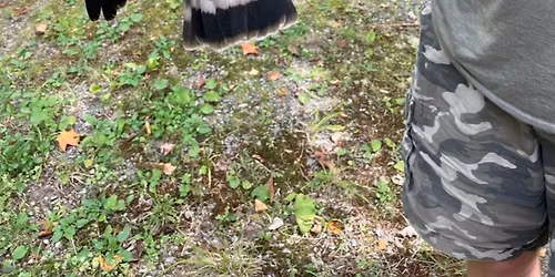 Soaring Across Borders: Broad-winged Hawk Banding Research