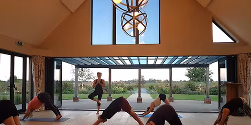 Together Fitness Yoga