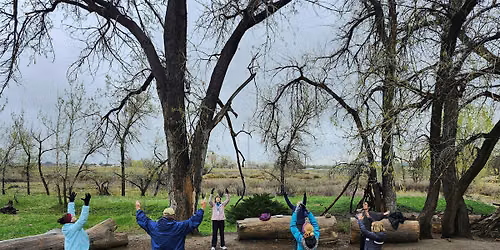 Qigong and Mindfulness Walk