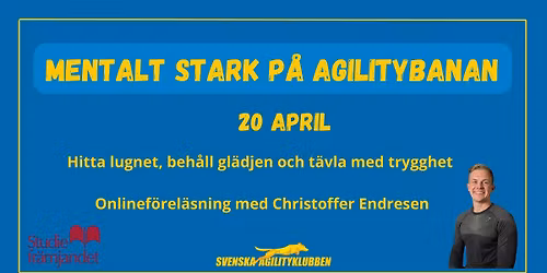 SAgiK-f\u00f6rel\u00e4sning april med Christoffer Endresen