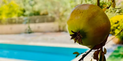 * WHISPERS OF GAIA RETREAT* \ud83c\udf0a