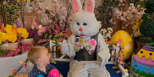 Free event : "A day with the Easter Bunny"