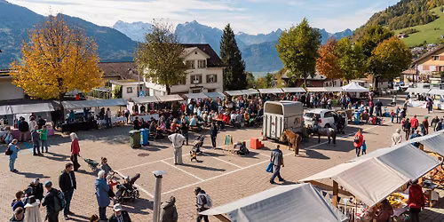 Herbstmarkt in Amden 🍂